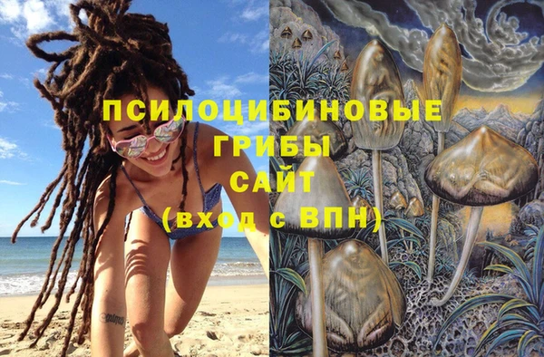 apvp Аркадак