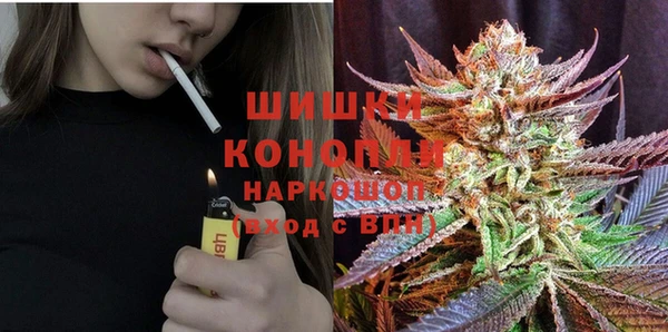 apvp Аркадак